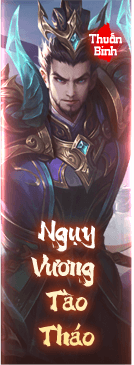 Long Hồn Triệu Vân